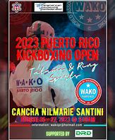 Image result for Kick Boxing Puerto Rico Logo Design