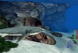 Image result for Shark Video Games