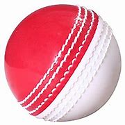 Image result for Poly Soft Cricket Ball