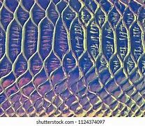 Image result for Heographic Skin Lunps