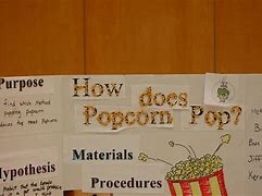 Image result for Second Grade Science Fair Projects