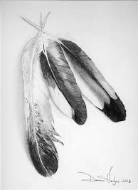 Image result for Bald Eagle Feathers Drawings
