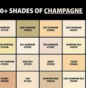 Image result for Champagne Paint Color Chart