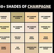 Image result for Champagne Gold Color Rall