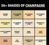 Image result for Cream Gold vs Champagne