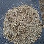 Image result for Sun Moon Moss Rock