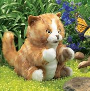 Image result for Orange Cat Puppet