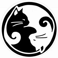 Image result for Yin Yang Galaxy Cat