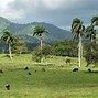 Image result for Hispaniola