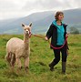 Image result for Brecon Beacons Things to Do