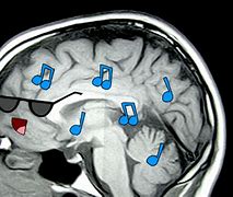 Image result for Your Brain on Music Meme