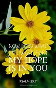Image result for Biblical Quotes On Hope