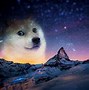 Image result for Dog Meme Desktop Wallpaper