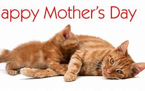 Image result for Funny Mother's Day Animations