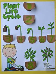 Image result for Miniature Printable Plants