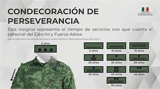 Image result for IPPS SE Que Le Insignia
