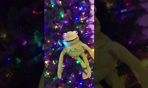 Image result for Trees Memes with Kermit