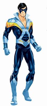 Image result for Nightwing Classic Suit