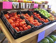Image result for Farmers Market Facts