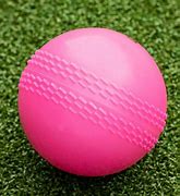 Image result for Cricket Practice Nets