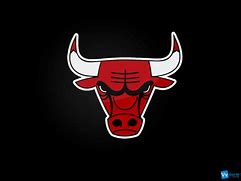 Image result for Chicago Bulls Team