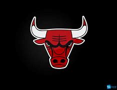 Image result for Bulls Team