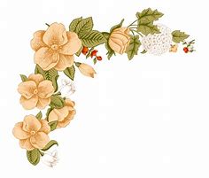Image result for White Peach Flowers Clip Art