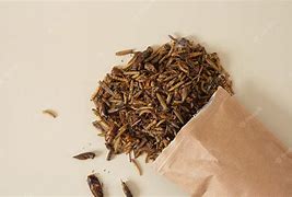 Image result for Dried Insects Animal Food