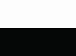 Image result for Black Anf White-Flag