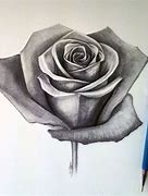 Image result for How to Draw Rose Drawing