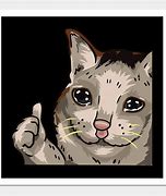 Image result for Cat Thumbs Up Crying Variations