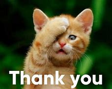 Image result for Funny Thank You Cute Meme