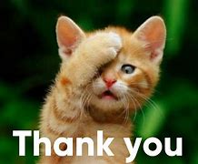 Image result for Pretty Thank You Meme