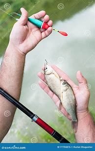 Image result for Fishing Pole with Fish
