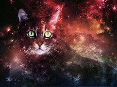 Image result for Galaxy Wallpaper Colorful Space Cat