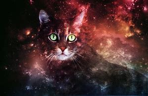Image result for Galaxy Cat Art Cute