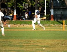 Image result for Cricket Sport Field