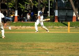 Image result for Manger Scene Cricket Image