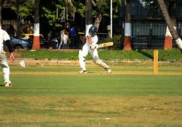 Image result for Inside Cricket