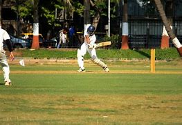 Image result for Photo of Kids Playing Social Cricket