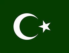 Image result for Muslim Bosnia Flag