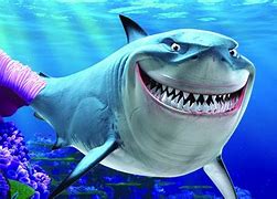 Image result for Happy Shark Meme