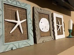 Image result for Sand Dollar Framed Art