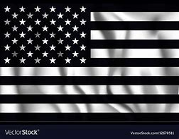 Image result for Flag Logo Black and White