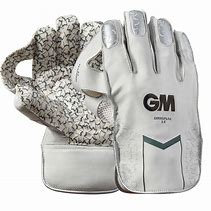 Image result for Wicket Keeping Gloves