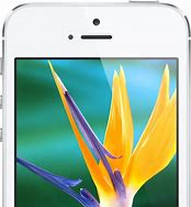 Image result for Ugasjen iPhone 5S White
