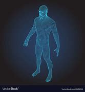 Image result for Human 3D Model Wireframe