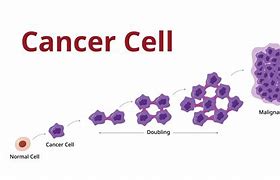 Image result for Stages of Cancer Tumor Size