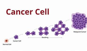 Image result for Stages of Cancer Tumor Size