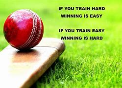 Image result for Cricket Lover Quotes